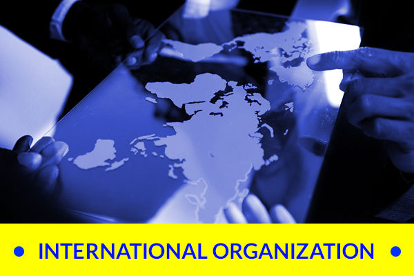 International organization